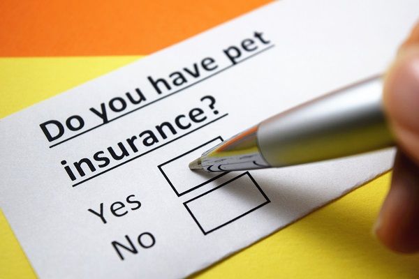 Petplan research demonstrates the value of its insurance proposition for clients and vets